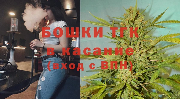 крисы Абаза