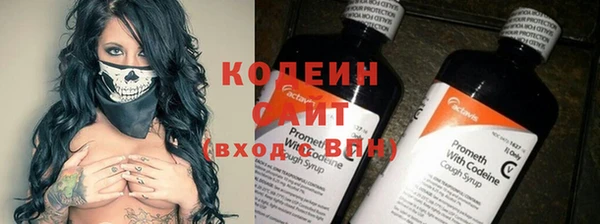 крисы Абаза