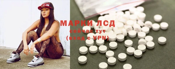 крисы Абаза