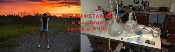 крисы Абаза