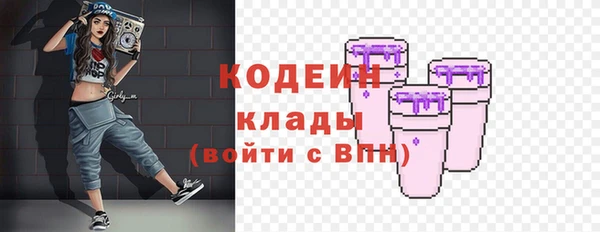 крисы Абаза