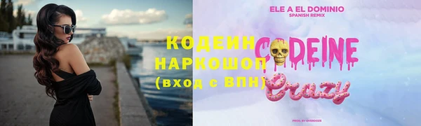 крисы Абаза
