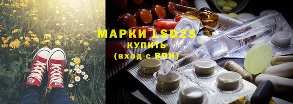 крисы Абаза