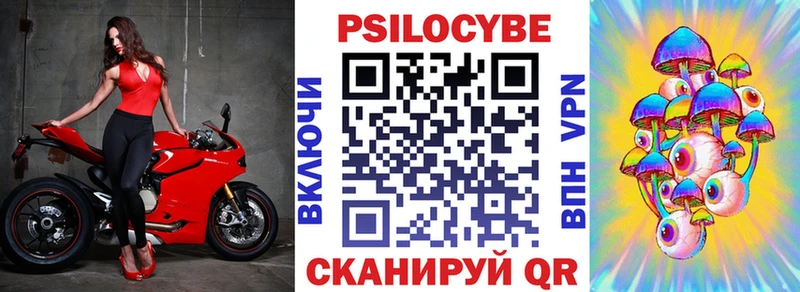 дарнет шоп Шилка ОМГ ОМГ сайт Псилоцибиновые грибы Psilocybe